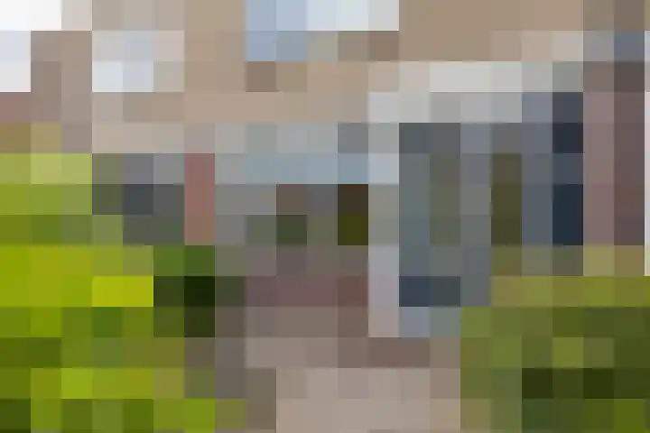 Bakkerstraat 38 Roden thumbnail 5