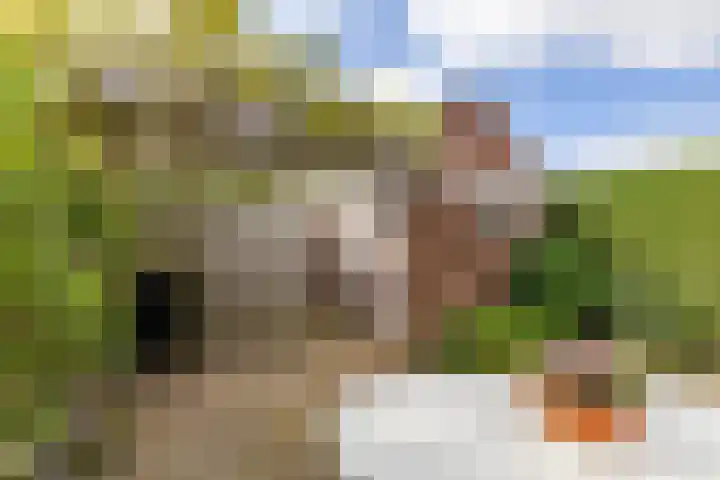 Bakkerstraat 38 Roden thumbnail 51