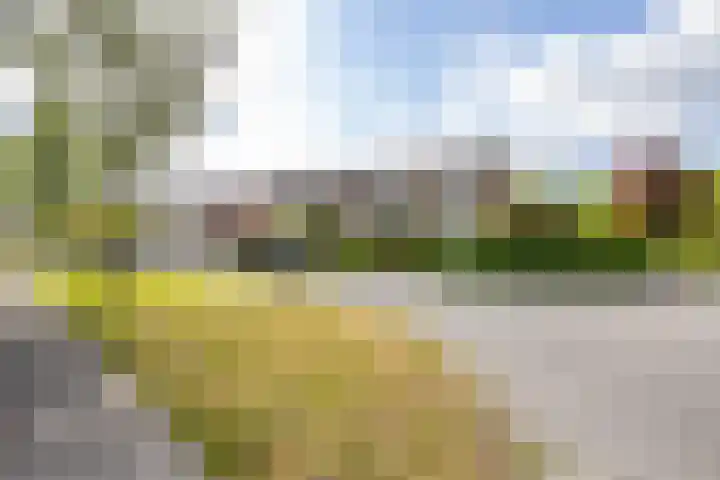 Bakkerstraat 38 Roden thumbnail 6