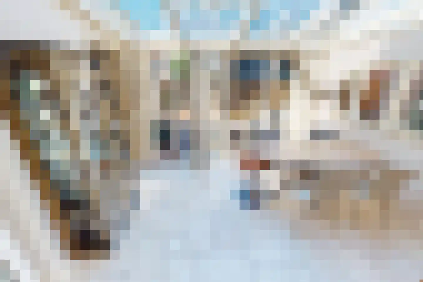 Bakkerstraat 4 a Bovenkarspel thumbnail 16