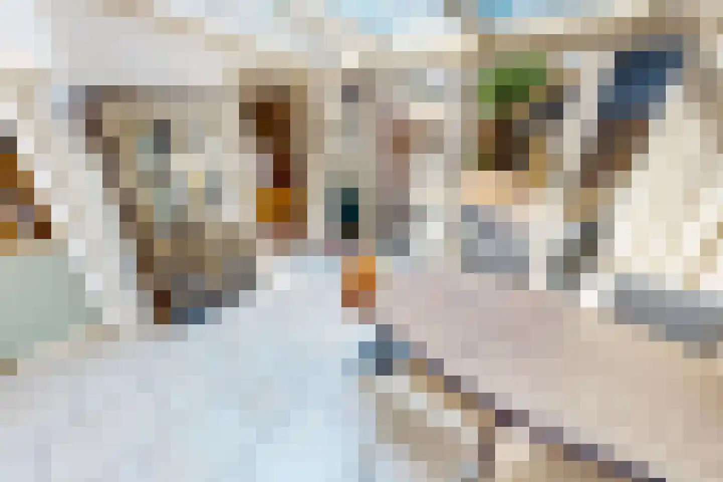 Bakkerstraat 4 a Bovenkarspel thumbnail 17
