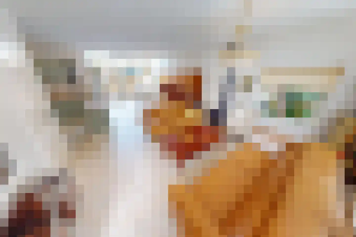 Bakkerstraat 4 a Bovenkarspel thumbnail 7