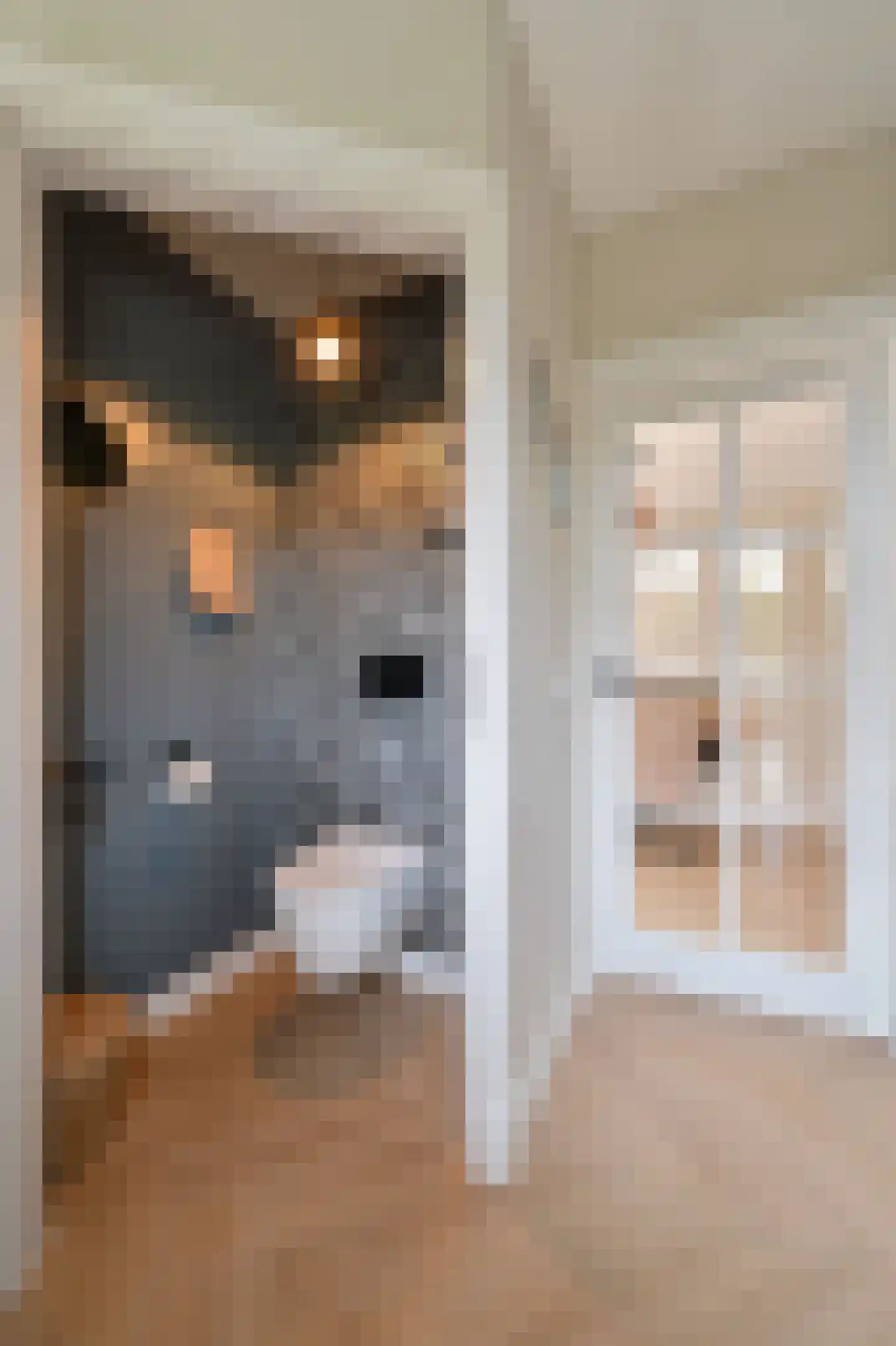 Bakkerstraat 4 A Garderen thumbnail 32
