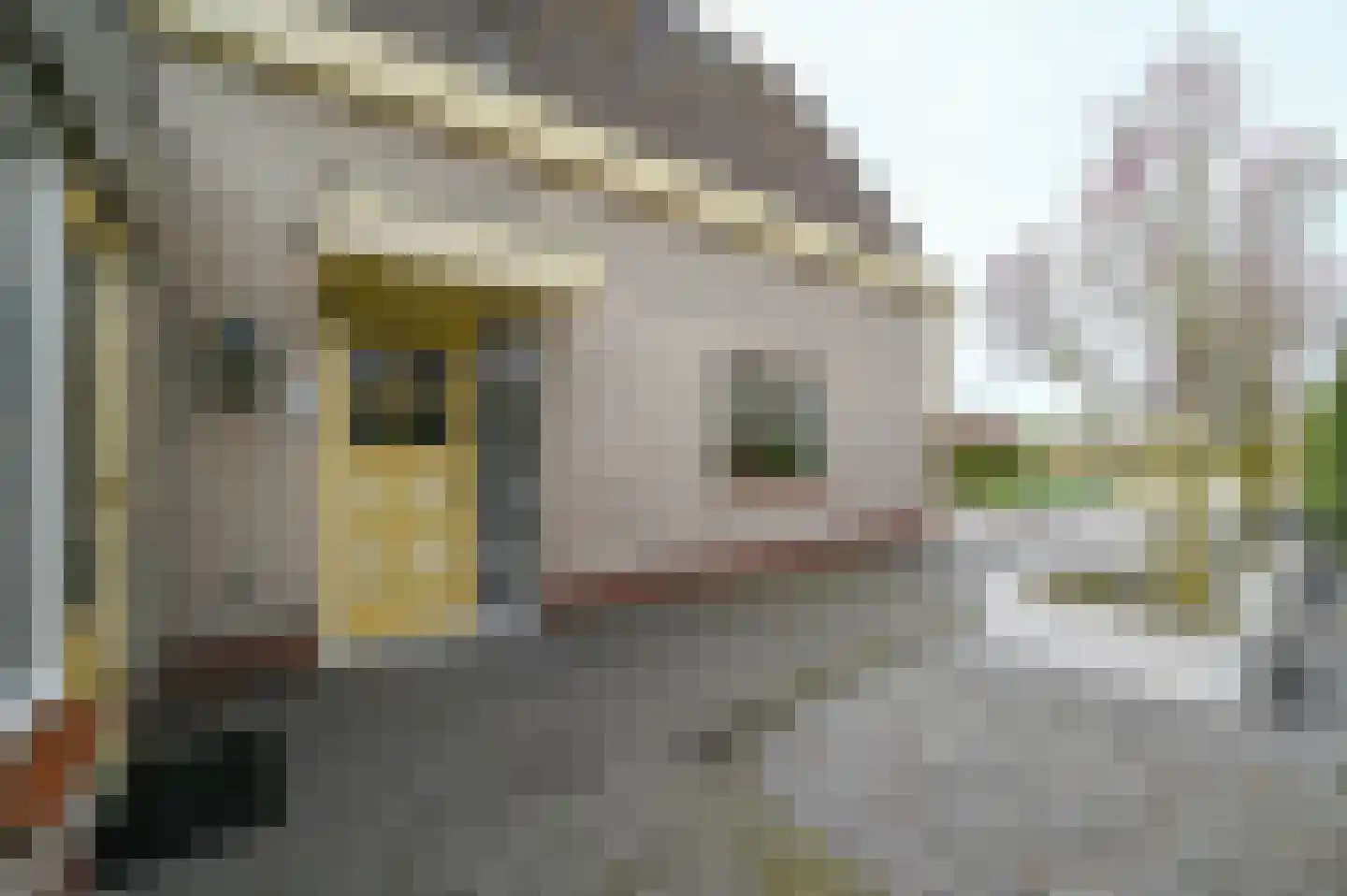 Bakkerstraat 4 A Garderen thumbnail 50