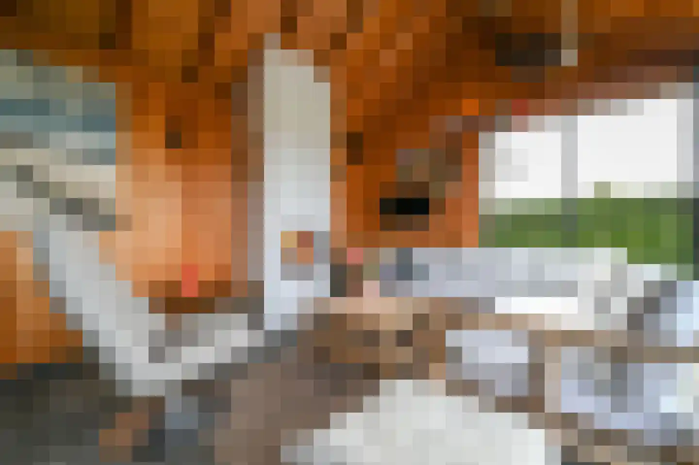 Bakkerstraat 4 A Garderen thumbnail 57