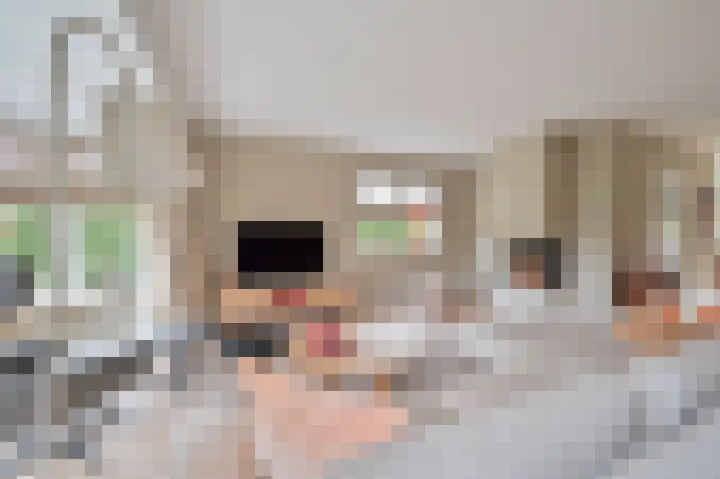 Bakkerstraat 4 A Garderen thumbnail 6