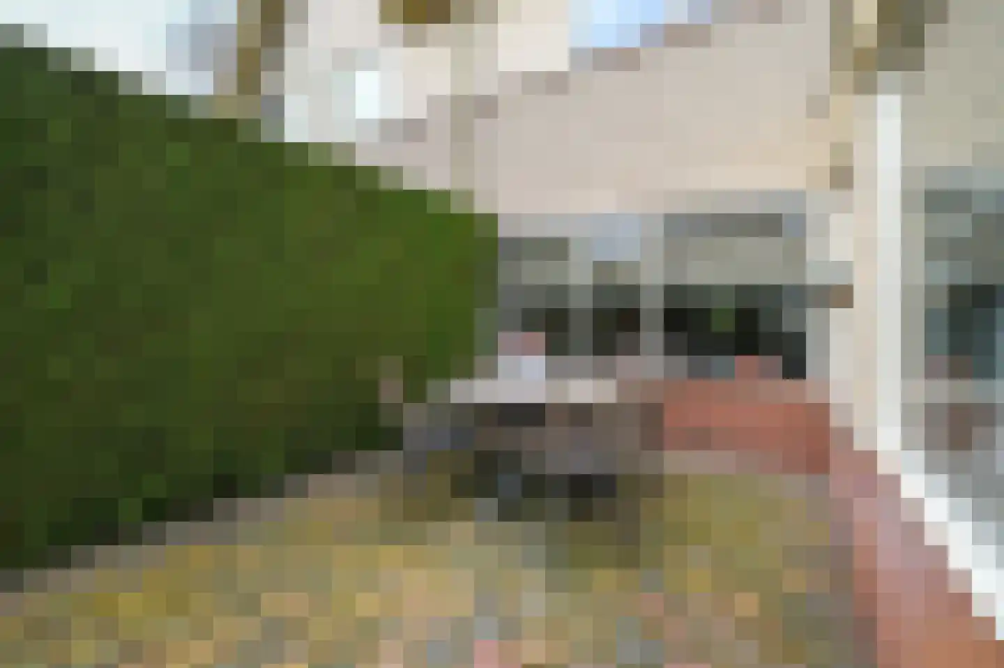 Bakkerstraat 4 A Garderen thumbnail 67