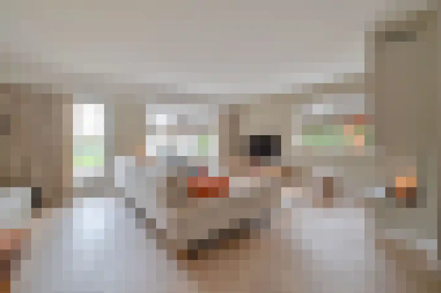 Bakkerstraat 4 A Garderen thumbnail 8