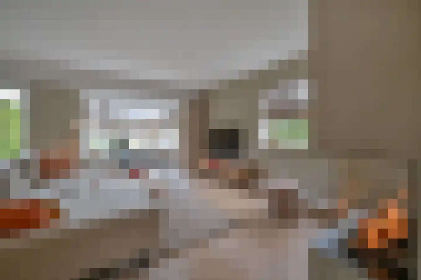 Bakkerstraat 4 A Garderen thumbnail 9