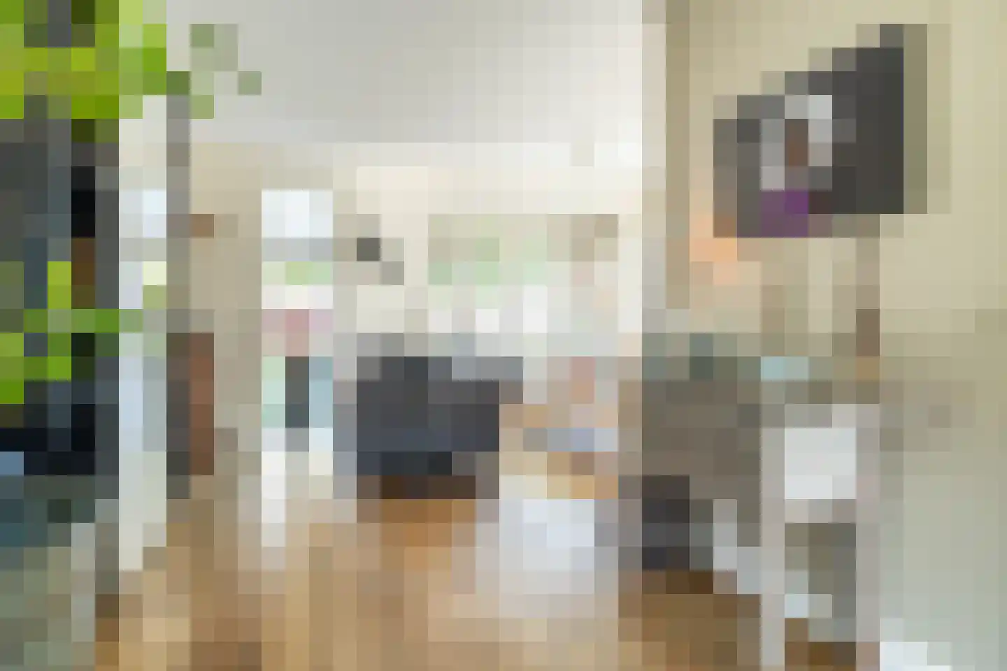Bakkerstraat 4 B Oosterhout thumbnail 10