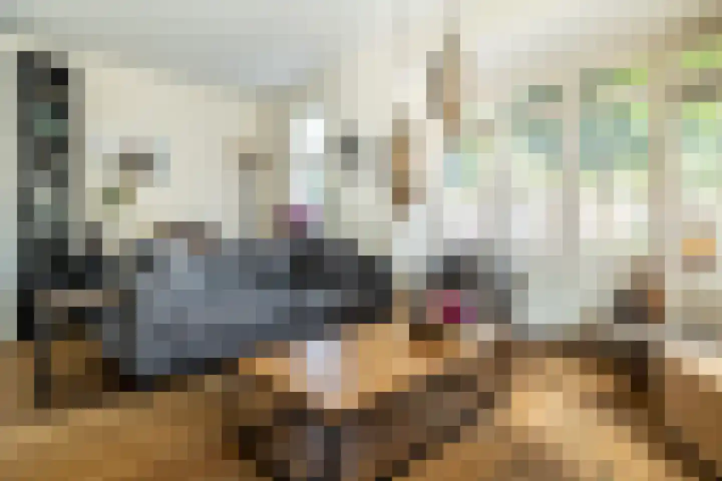 Bakkerstraat 4 B Oosterhout thumbnail 13