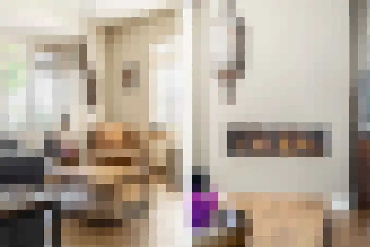 Bakkerstraat 4 B Oosterhout thumbnail 15