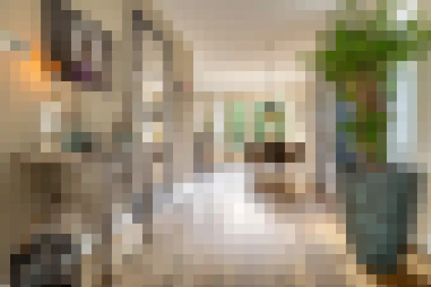 Bakkerstraat 4 B Oosterhout thumbnail 16
