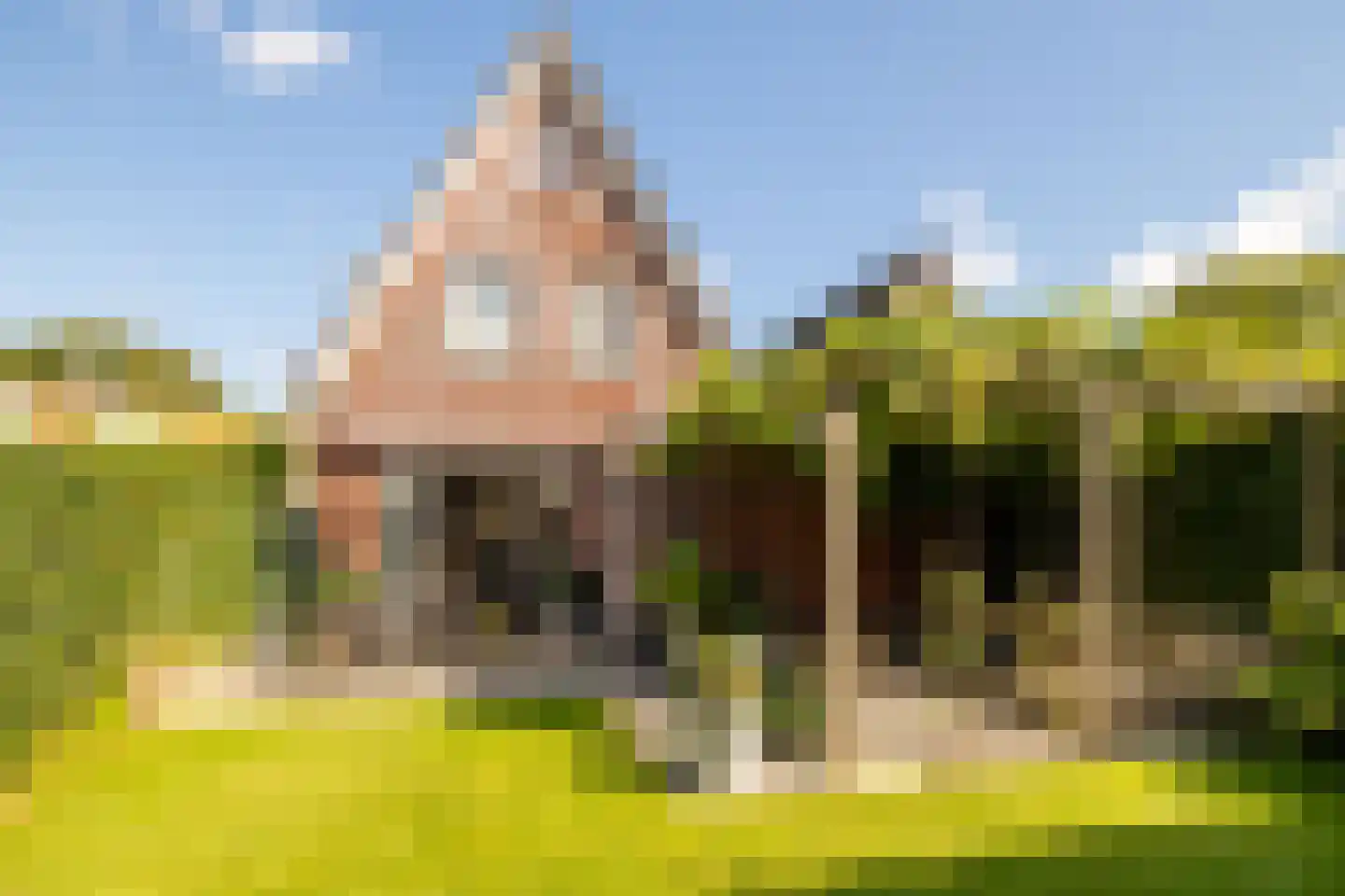 Bakkerstraat 4 B Oosterhout thumbnail 42