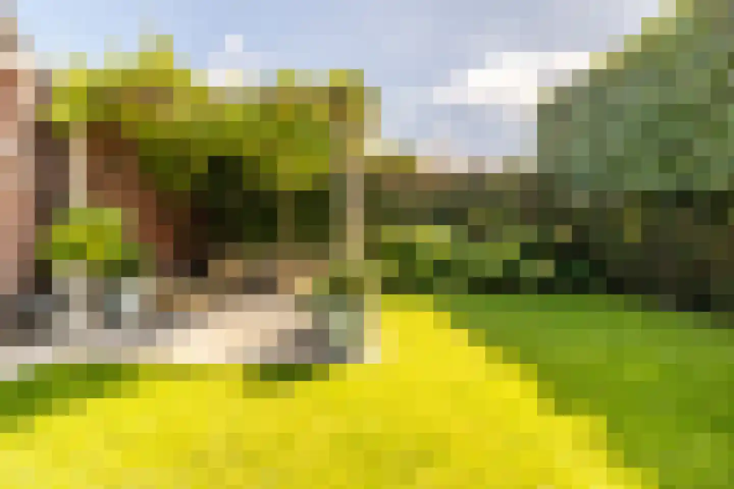 Bakkerstraat 4 B Oosterhout thumbnail 44