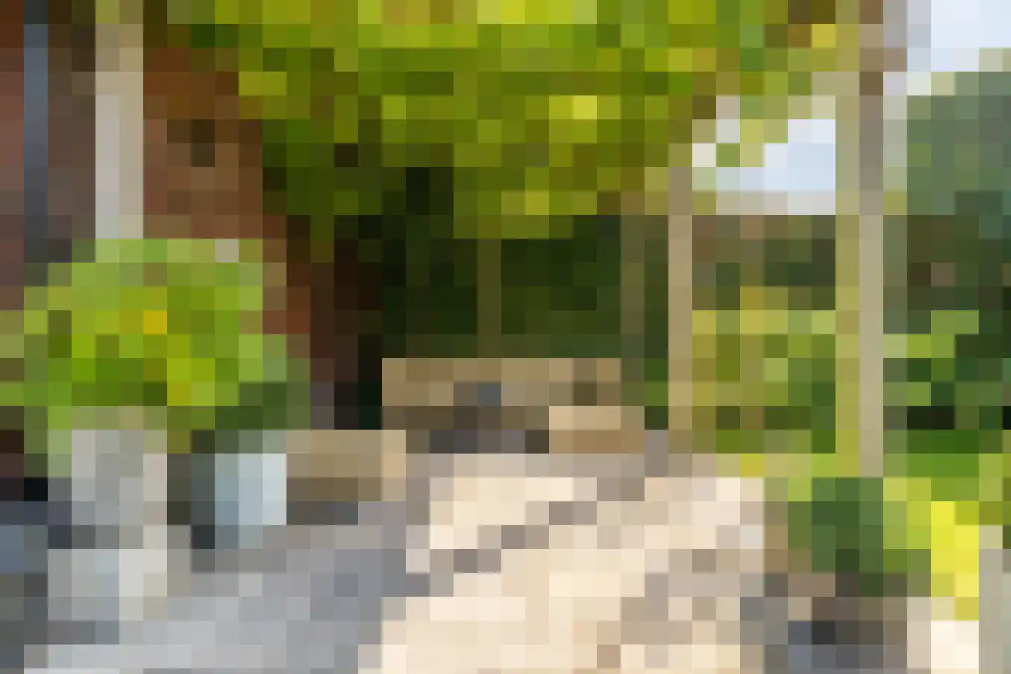 Bakkerstraat 4 B Oosterhout thumbnail 45