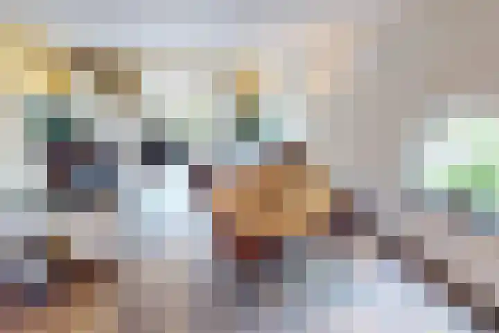 Bakkerstraat 4 Bovenkarspel thumbnail 17
