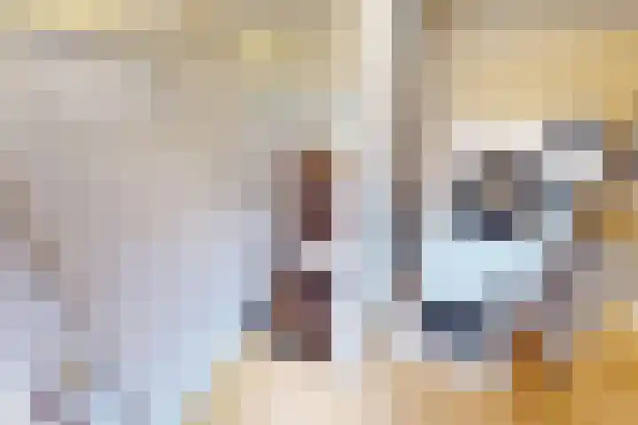 Bakkerstraat 4 Bovenkarspel thumbnail 35