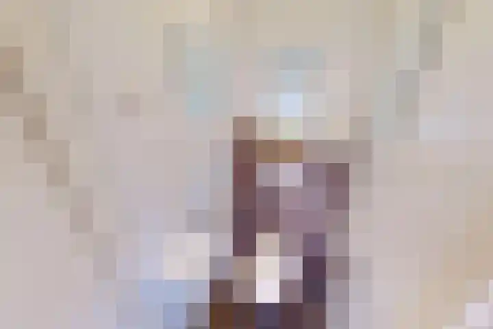 Bakkerstraat 4 Bovenkarspel thumbnail 36