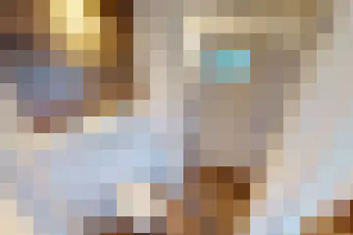 Bakkerstraat 4 Bovenkarspel thumbnail 55