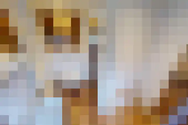 Bakkerstraat 4 Bovenkarspel thumbnail 56