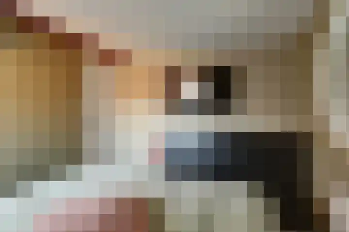 Bakkerstraat 4 Vianen thumbnail 26