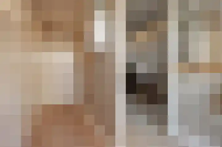 Bakkerstraat 4 Vianen thumbnail 8