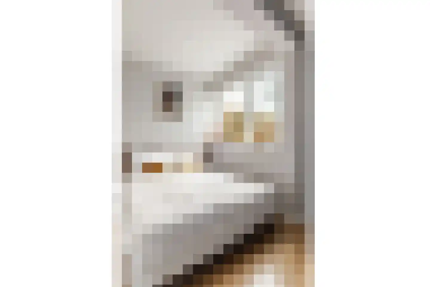 Bakkerstraat 41 Hilversum thumbnail 17