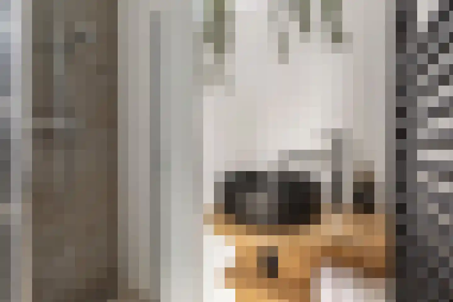 Bakkerstraat 41 Hilversum thumbnail 22