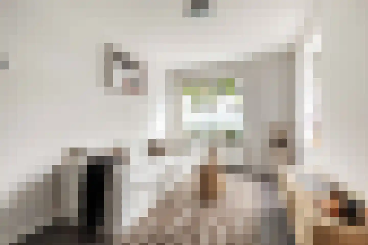 Bakkerstraat 41 Hilversum thumbnail 7