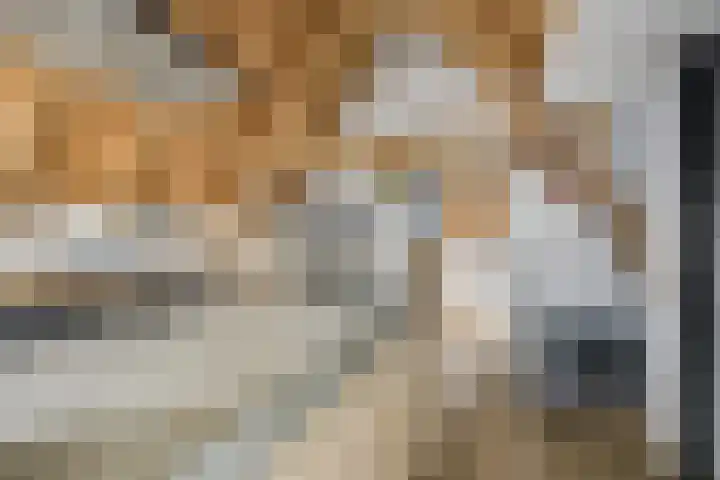 Bakkerstraat 5 c Vianen thumbnail 20