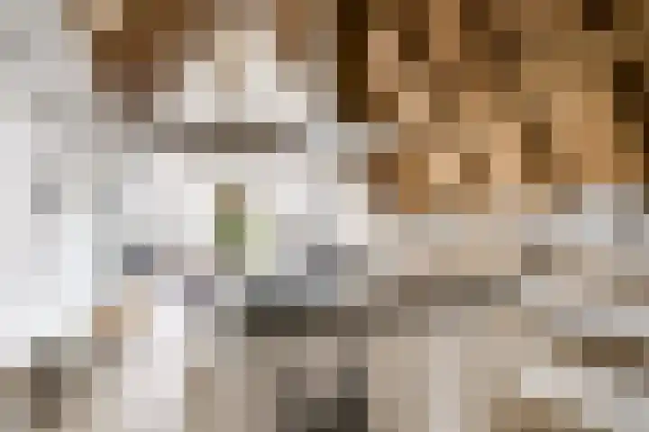 Bakkerstraat 5 c Vianen thumbnail 22