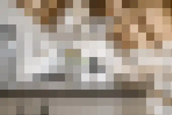 Bakkerstraat 5 c Vianen thumbnail 25