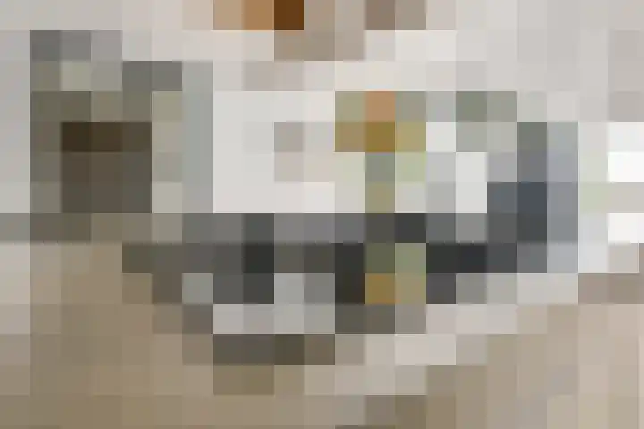 Bakkerstraat 5 c Vianen thumbnail 27
