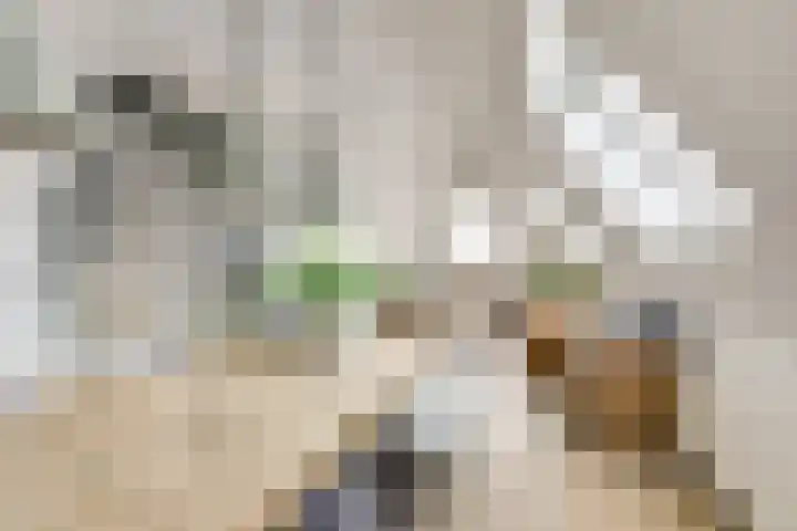 Bakkerstraat 5 c Vianen thumbnail 30