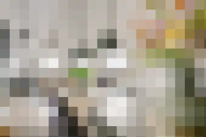 Bakkerstraat 5 c Vianen thumbnail 31