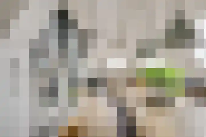 Bakkerstraat 5 c Vianen thumbnail 32
