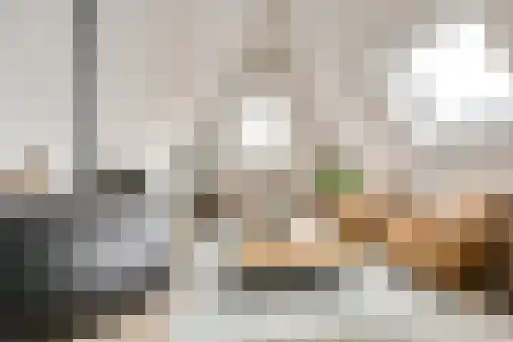 Bakkerstraat 5 c Vianen thumbnail 33