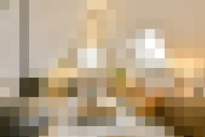 Bakkerstraat 5 c Vianen thumbnail 34