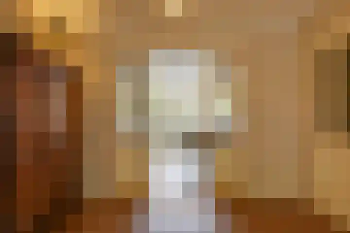 Bakkerstraat 5 Hummelo thumbnail 16
