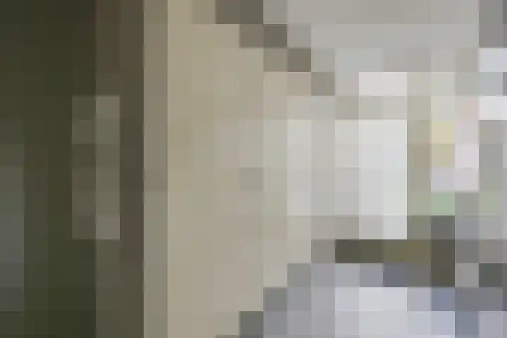 Bakkerstraat 5 Hummelo thumbnail 25