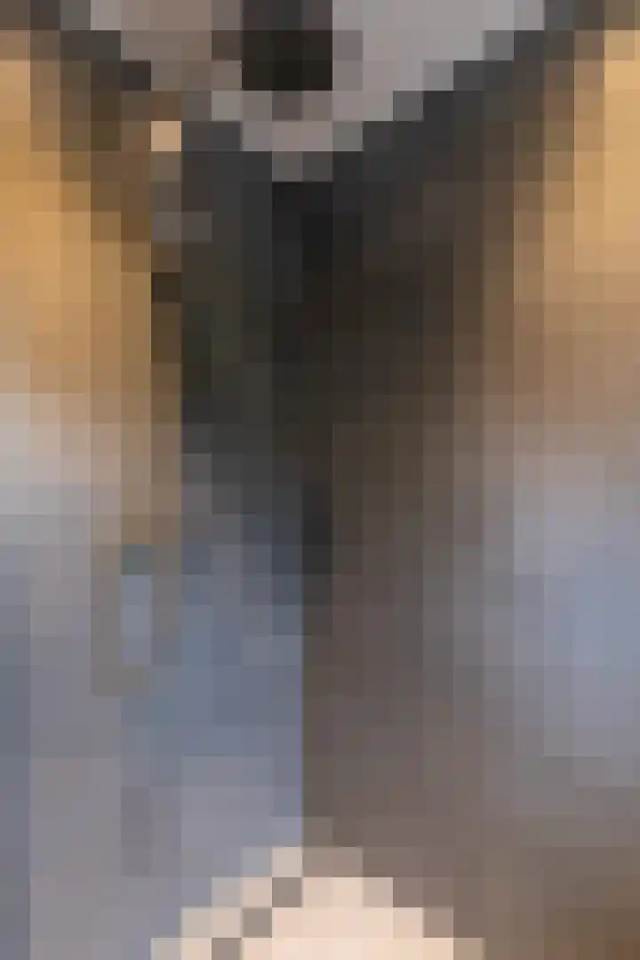 Bakkerstraat 5 Hummelo thumbnail 37