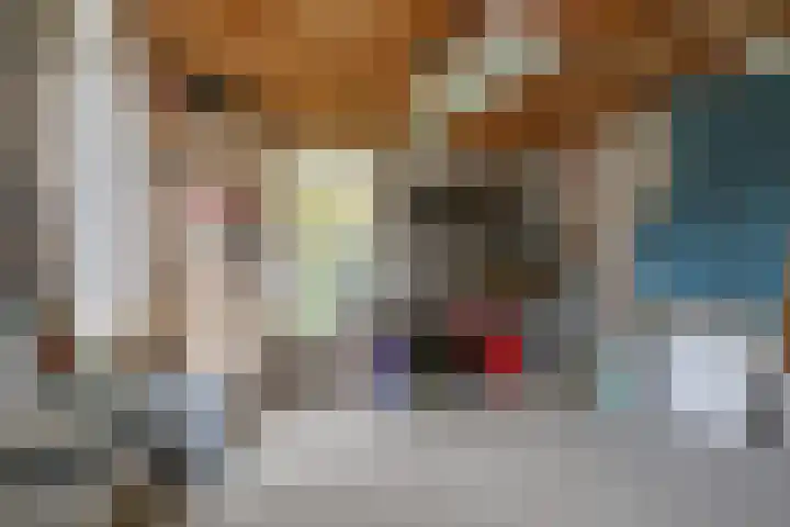 Bakkerstraat 5 Hummelo thumbnail 39