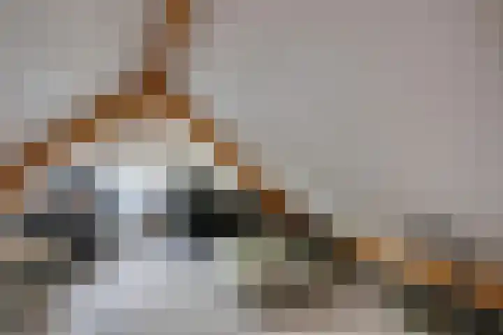 Bakkerstraat 5 Hummelo thumbnail 40