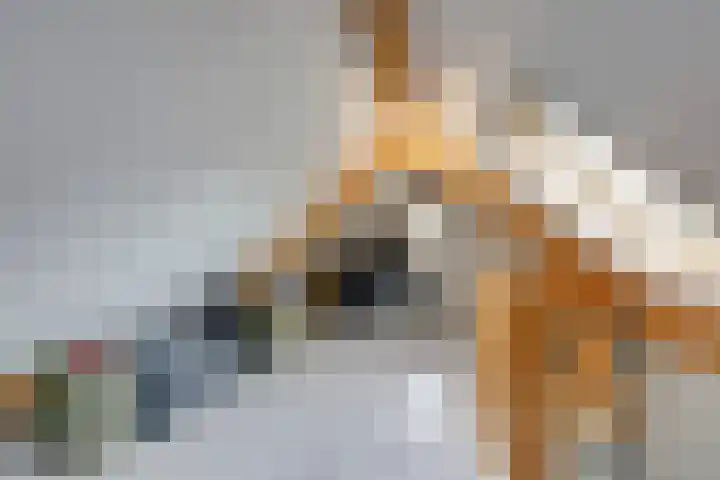 Bakkerstraat 5 Hummelo thumbnail 41