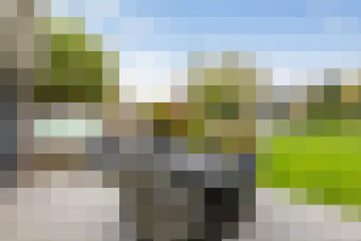 Bakkerstraat 5 Hummelo thumbnail 42