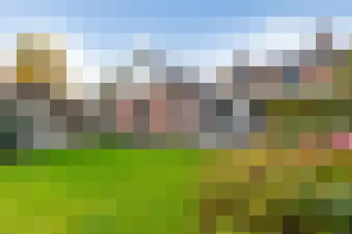 Bakkerstraat 5 Hummelo thumbnail 48