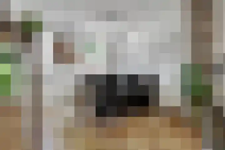 Bakkerstraat 53 Reusel thumbnail 12
