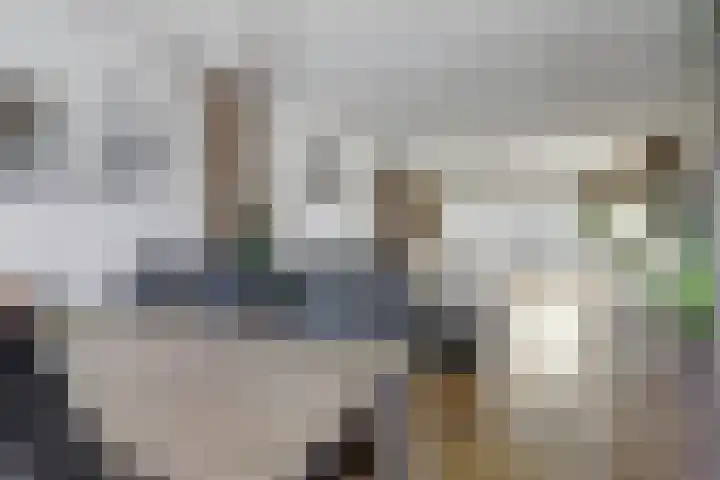 Bakkerstraat 53 Reusel thumbnail 13