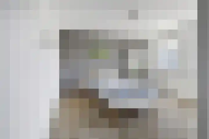 Bakkerstraat 53 Reusel thumbnail 26